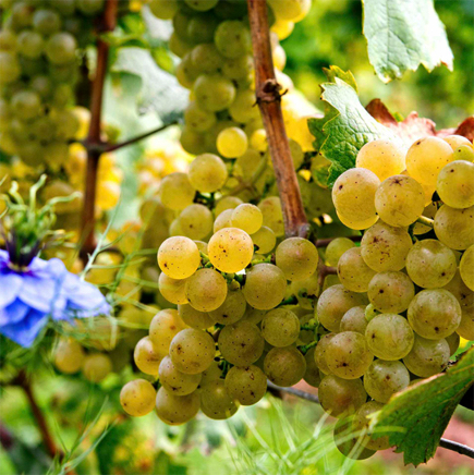 17.09.14 -318 Kopie.jpg