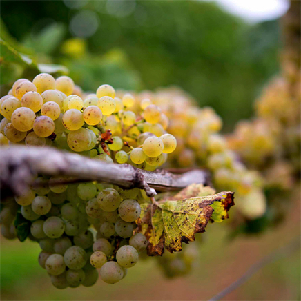 12.09.14 -281 Kopie.jpg