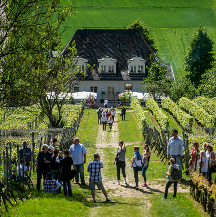 Bergstra&szlig;e Silz-022.jpg