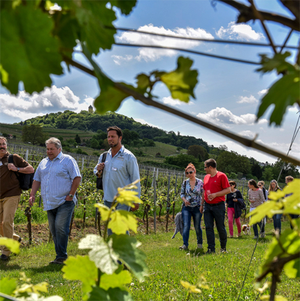 Bergstra&szlig;e Silz-076.jpg