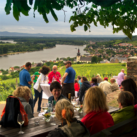 Roter Hang Winzerfest -028.jpg