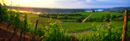 Hipping  - Stand 5 Kopie.jpg