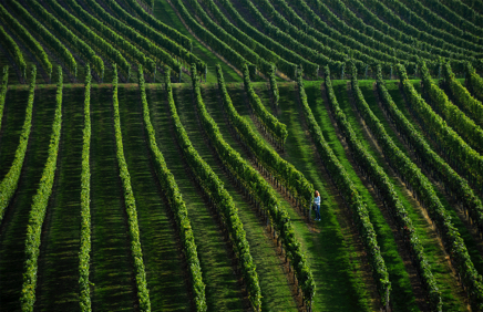 HS-Nadin Poss-003.jpg