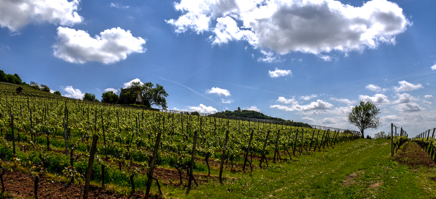 Bergstra&szlig;e Silz-071.jpg