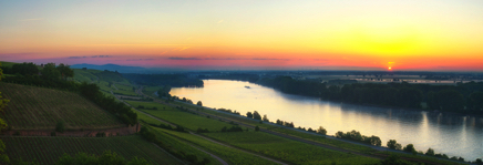 Panorama11- 250x100.jpg