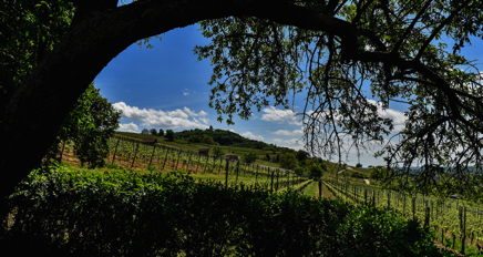 Bergstra&szlig;e Silz-059.jpg