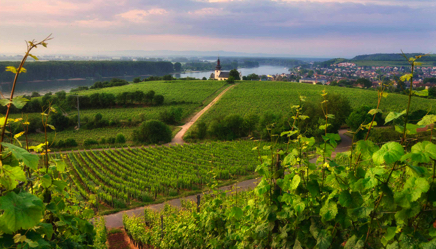 Pano-Kranzberg-Ölberg-250x150-04 Kopie.jpg