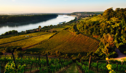 Nierstein Stand 1.jpg