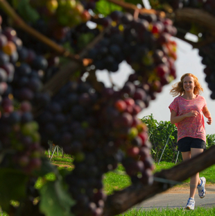 HS-Nadin Poss-022 Kopie.jpg