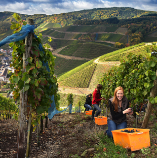 Julia Bertram 210.jpg