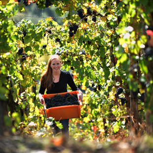 Julia Bertram 177.jpg