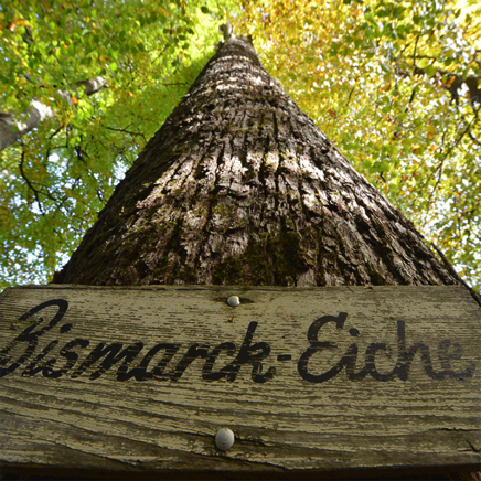 DWI 19.10.12 - 43.jpg