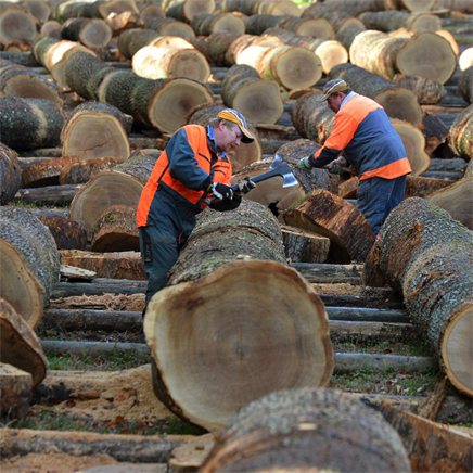 DWI 19.10.12 - 56.jpg