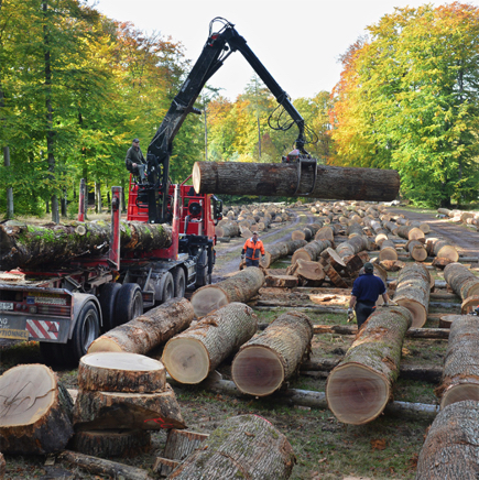 DWI 19.10.12 - 75.jpg