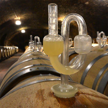 DWI 19.10.12 - 14.jpg